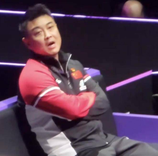 法国乒乓球队绝杀德国乒乓球队，王皓一己之力扛起全队的简单介绍