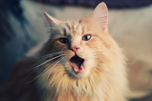 暗夜的唯一光亮