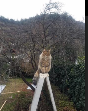 非典型的亚洲风暴，一场关键传球改写比赛，韩国轻取摩洛哥的战术密码