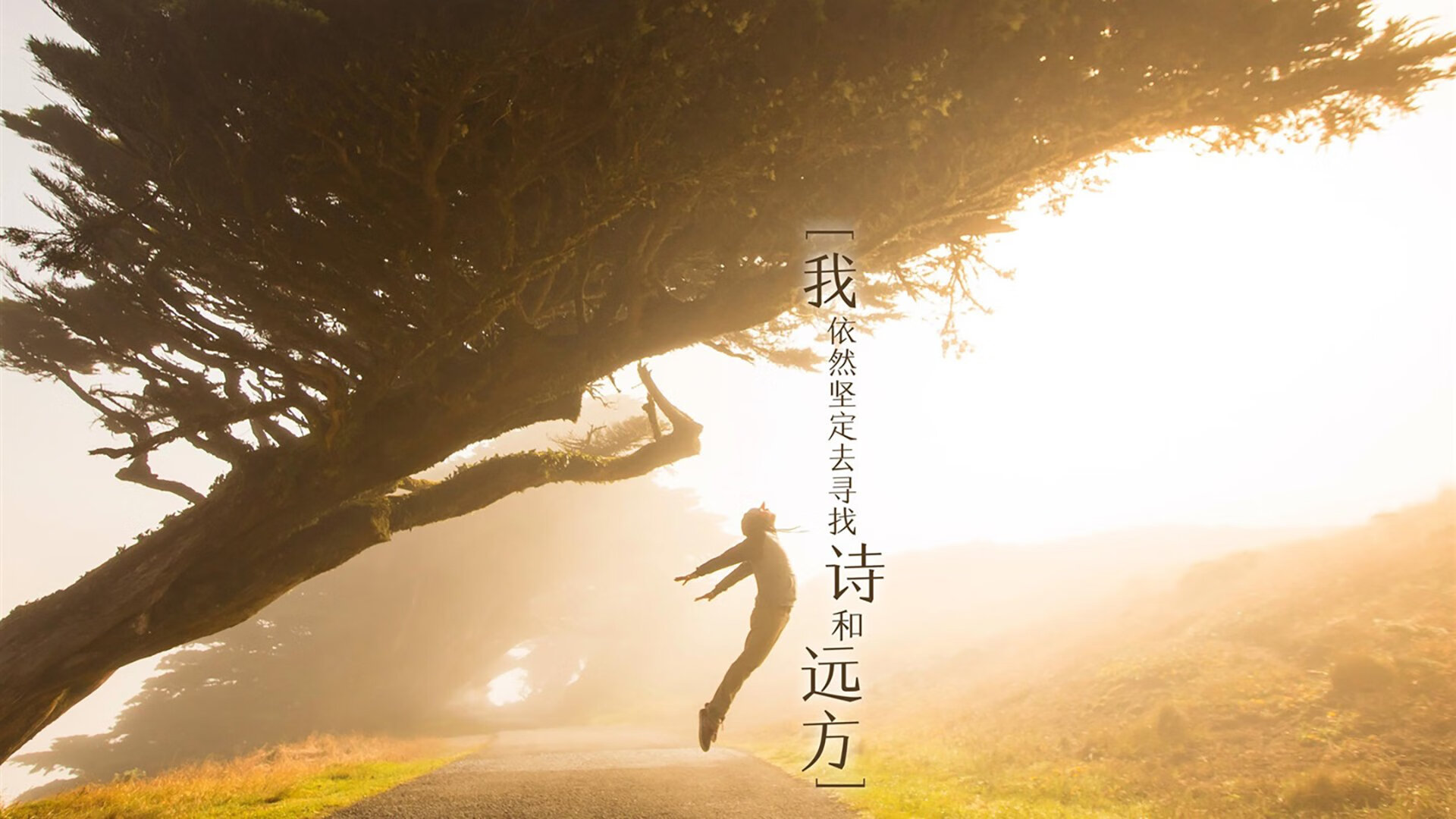 开云体育入口-小贾伦超神！上海男篮进攻潮水淹没深圳，深圳防线轰然倒下