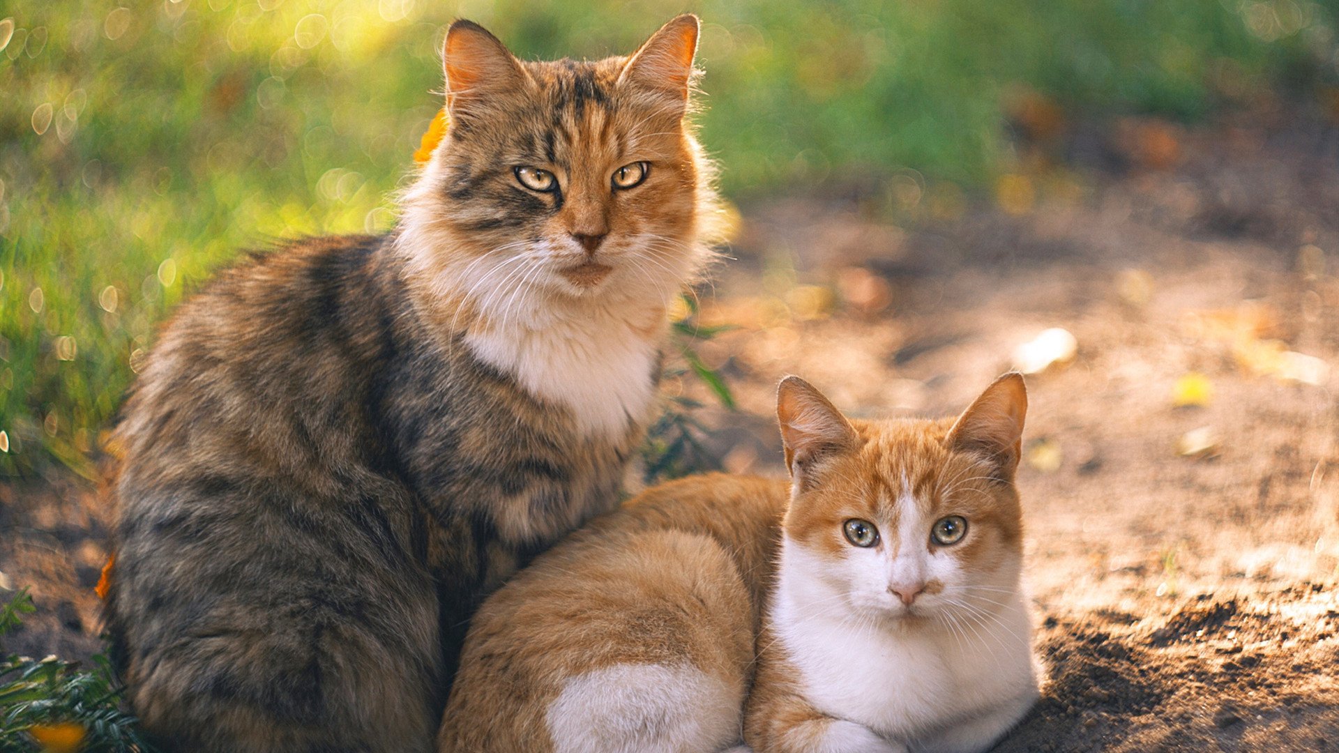 圣保罗球场的雨夜,当皮克的利刃刺穿希腊的叹息之墙