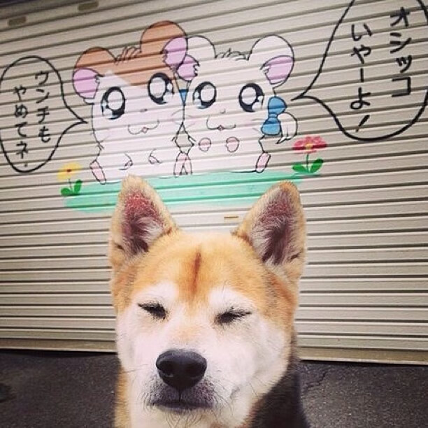 年度焦点之战,福克斯接管比赛,鹈鹕轻取掘金