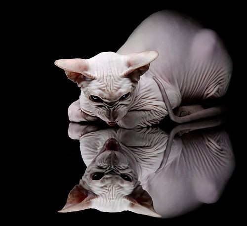 切特绞杀网笼罩上海滩，篮网疾风骤雨诠释现代篮球速率