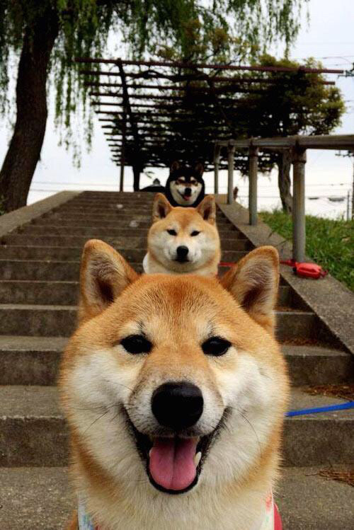 绿茵烽火与篮下硝烟，跨越时空的竞技哲学对话