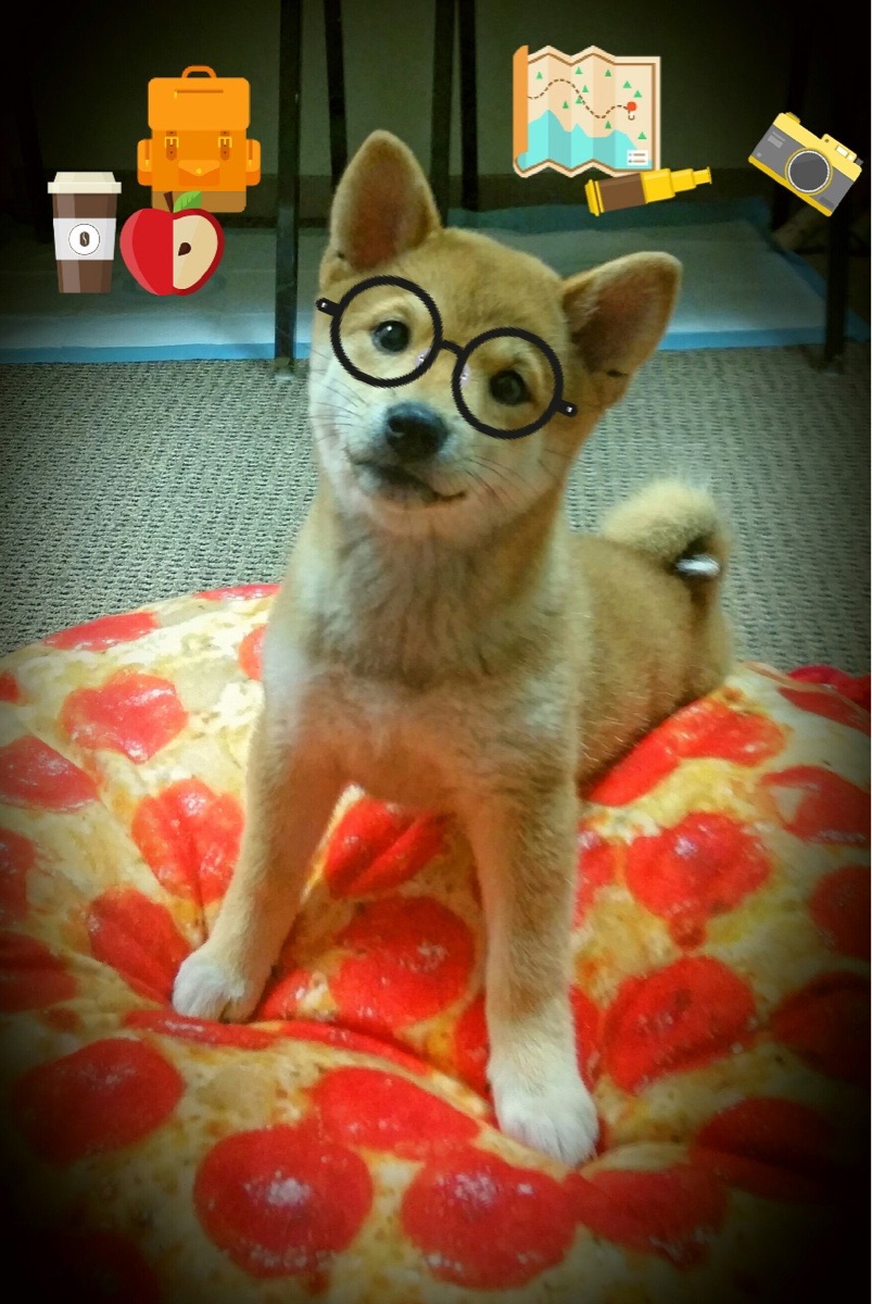 巴萨友谊赛4-0狂扫阿尔及利亚，久保建英两传一射惊艳四座